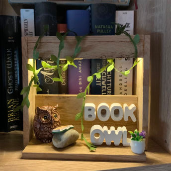 Beleuchtete Bcherregal Deko Book Owl - 80 Geschenke für Frauen, die schon alles haben