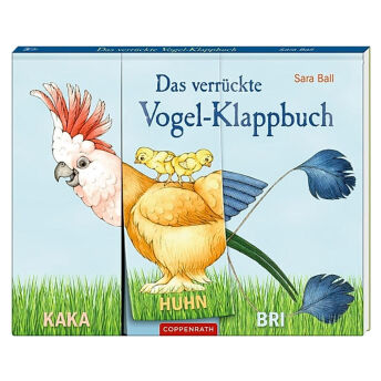Das verrckte VogelKlappbuch - 69 Geschenke für 3 bis 4 Jahre alte Jungen