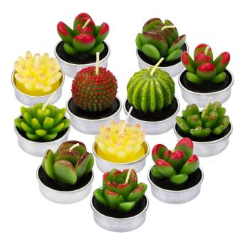 12tlg Kaktus Teelicht Set - 12 coole Kaktus Geschenke