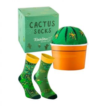 Rainbow Socks Cactus Socks im Blumentopf - 12 coole Kaktus Geschenke