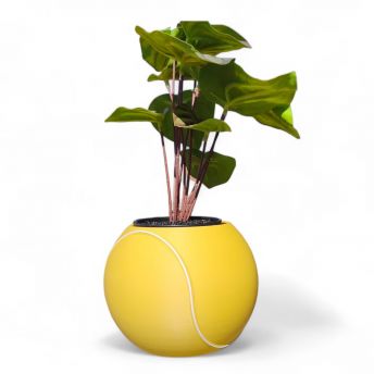 Tennisball Blumentopf - 