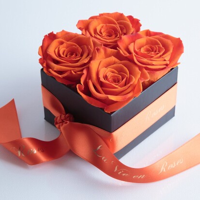 4 konservierte Rosen in attraktiver Geschenkbox - 54 originelle Valentinstag Geschenke für Frauen