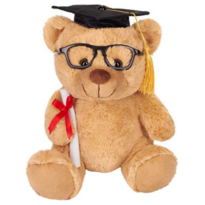 Teddy Plschbr mit Brille Diplom und Doktorhut - 