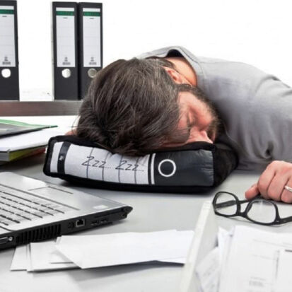 Power Nap Brokissen in AktenordnerOptik - 