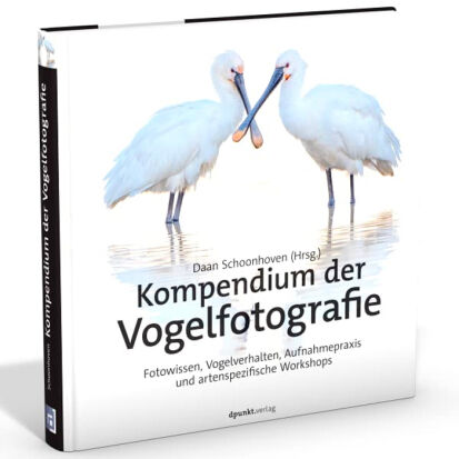 Kompendium der Vogelfotografie Fotowissen Vogelverhalten  - 