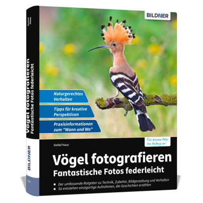 Vgel fotografieren Fantastische Fotos federleicht - 